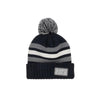 The Always Cold Pom Beanie - CHAR/GRY/WHT