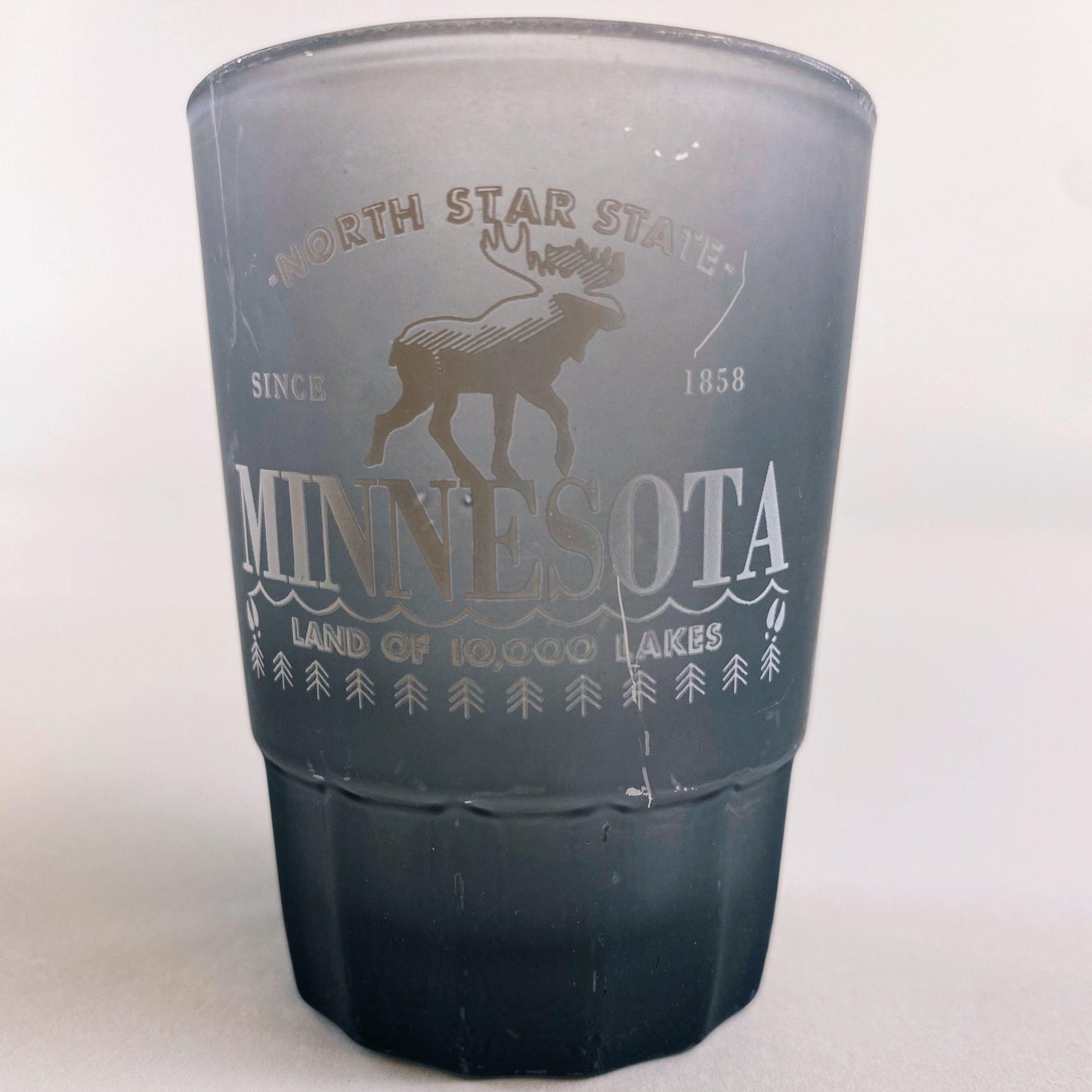Frosted Moose Shot Glass - Love From USA