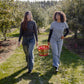Two women walking through a sunny apple orchard, carrying a basket of red apples. They are wearing matching gray and light blue shirts with a small white logo on the chest, paired with jeans.