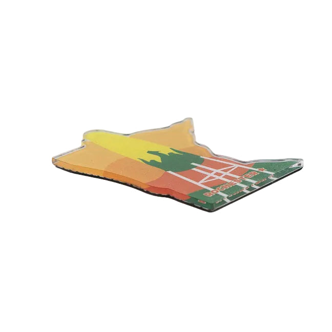Fridge magnet shaped like the state of Minnesota with a colorful design, large ear of corn water tower, and 'Rochester' text on a white background.