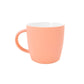 Minnesota Coral State Mug - Love From USA