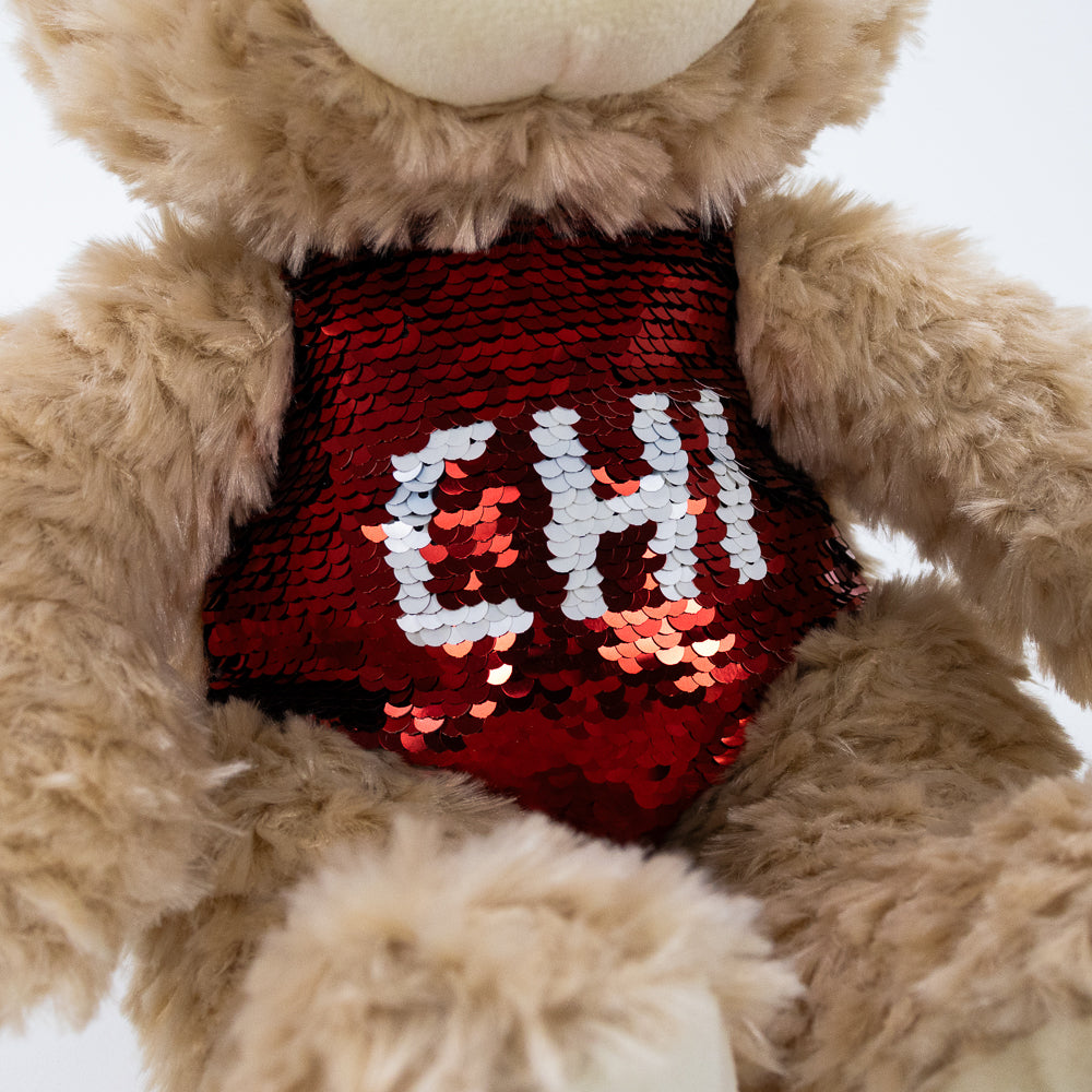 Cuddly Chicago Plush Bear - Love From USA