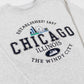 Gray sweatshirt with 'Chicago, Illinois' text and landmarks.