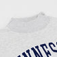 Close-up of a light heather gray crewneck sweatshirt featuring a navy blue collegiate-style letter graphic outlined in white across the chest.
