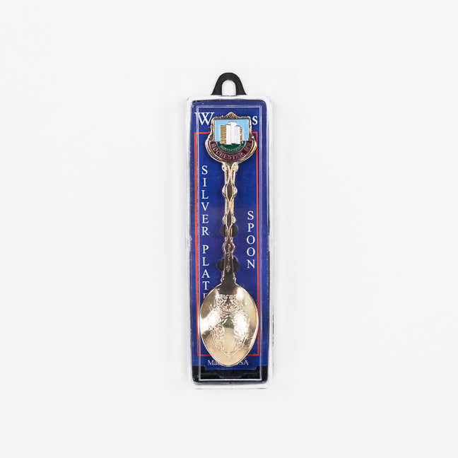 Silver spoon in a blue and white packaging on a white background