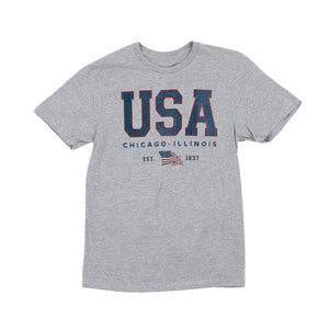 Gray t-shirt with 'USA Chicago, Illinois' text and American flag on a white background