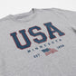 Grey tee shirt that reads USA Minnesota Est. 1858 and a USA flag on a white background.