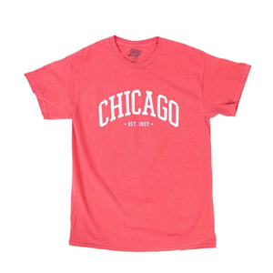 Chicago Established Tee - Love From USA