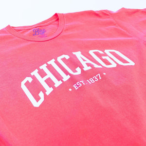 Chicago Established Tee - Love From USA